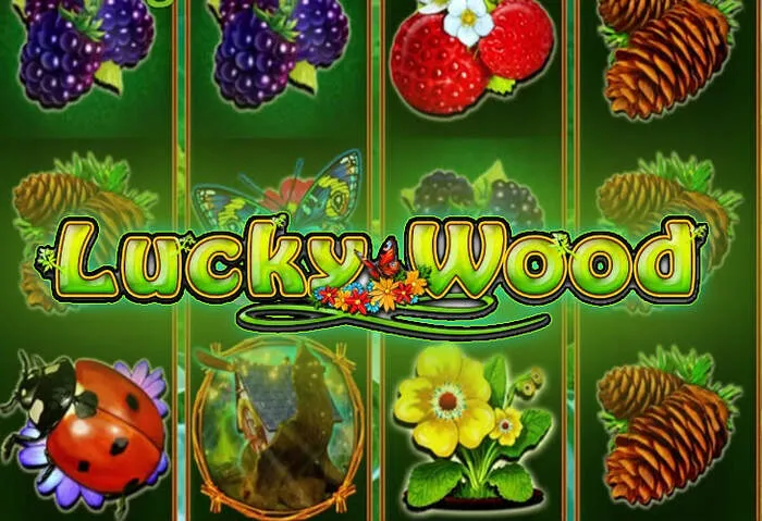 Promo kupón MyBookie s kódem pro casino hry a bonus bez vkladu