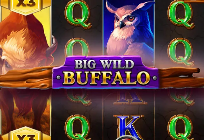 Obrazovka s MyBookie Casino a aktivním bonusovým kódem bez vkladu