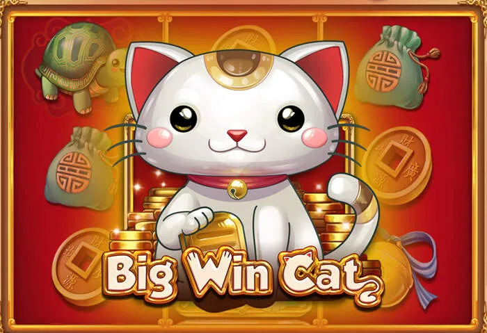 Logos of available payment methods at Mybookie casino