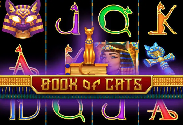 Ofertă exclusivă Cod fără depunere mybookie casino.