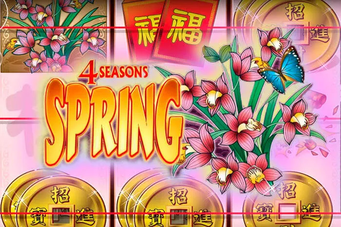 Esplora i Bonus mybookie casino.
